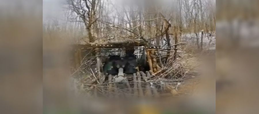 ������� ���������� ������������ ��� 2�3 �������� �� ����������� �����������