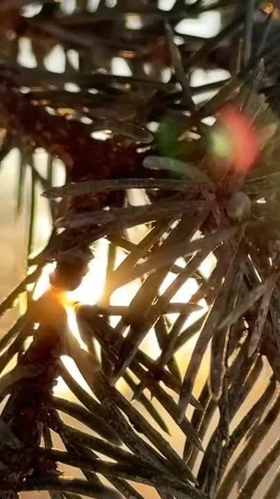 ������ � ����� �������, ��� ������ �� ������ ������� ��� ��������