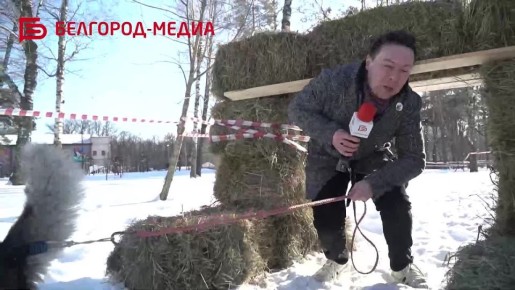 �������� �������� � �� ������� ������������� � ������������ ������ ������ ������ � Trail�