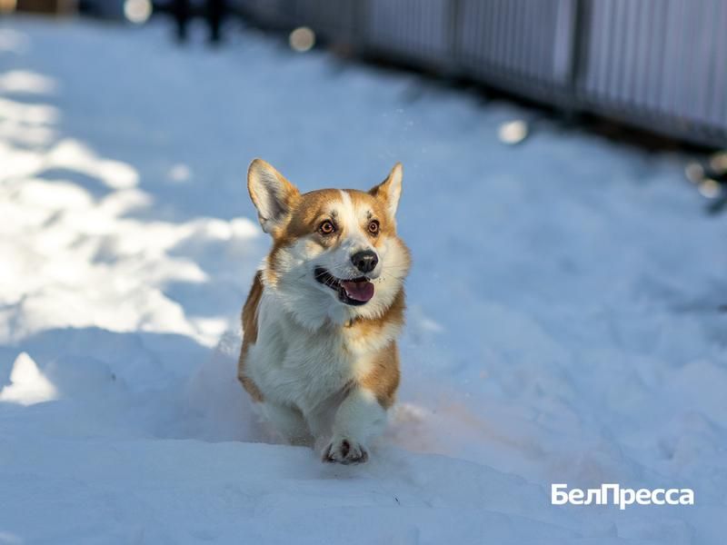 ������ ����, ��������!. ��������� ������������ ���������� �� �9 �������� � ��������� ����