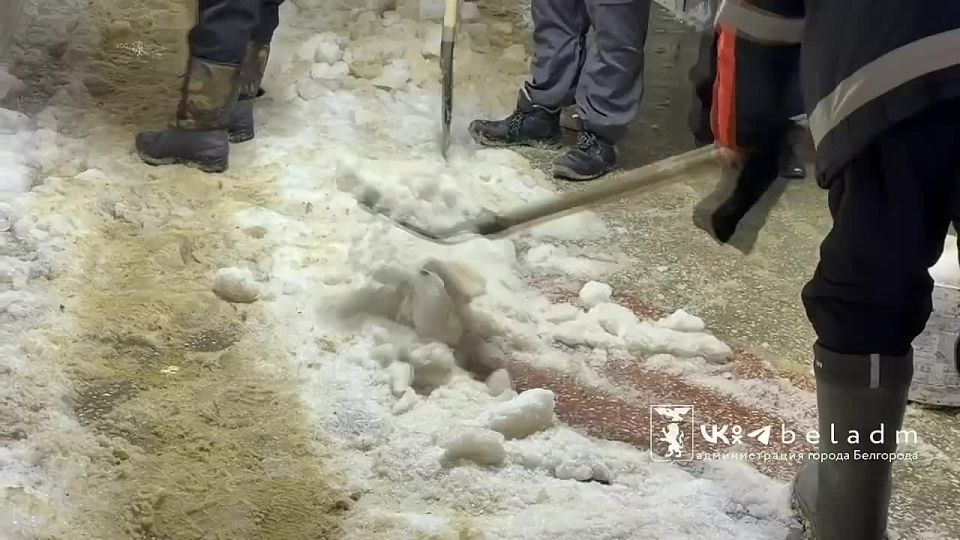 �������� � �������� �� ������� � ��������� ����������������� � �����