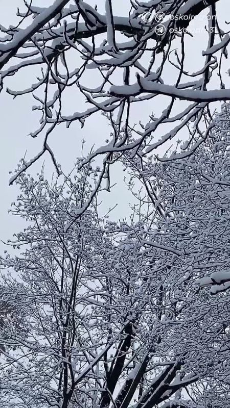 ������ ����, �������������!