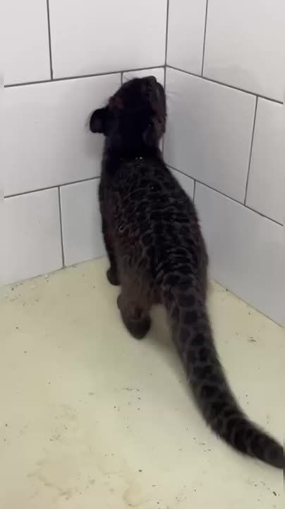 �������� �� ����� �� �����! ������� � ��������� ������� �������������� ������