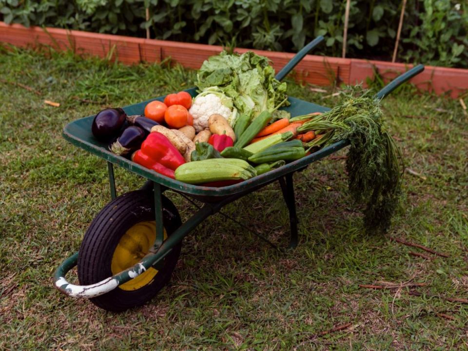 ��� ������� ������ ������� ��������� ��������� ����� � ��� ������ � ������