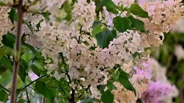 ������� ����� �������� ������� �� ��� ����������� ������������