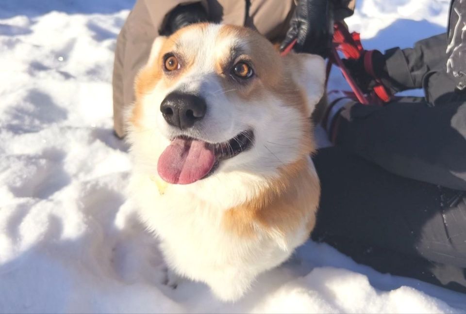 Погода сегодня, 22 января, будет облачная