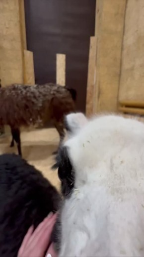 ������� ���� �� ������������� �������� ��� ������� � ���� �������� ������ ����� ��� ����!