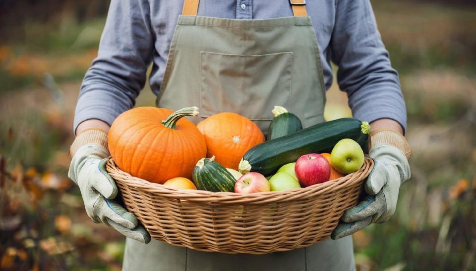 ������ ��� �����: ��� ��������� ������ � ������ � ������������ ��������