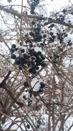 ������ ����, �������������!