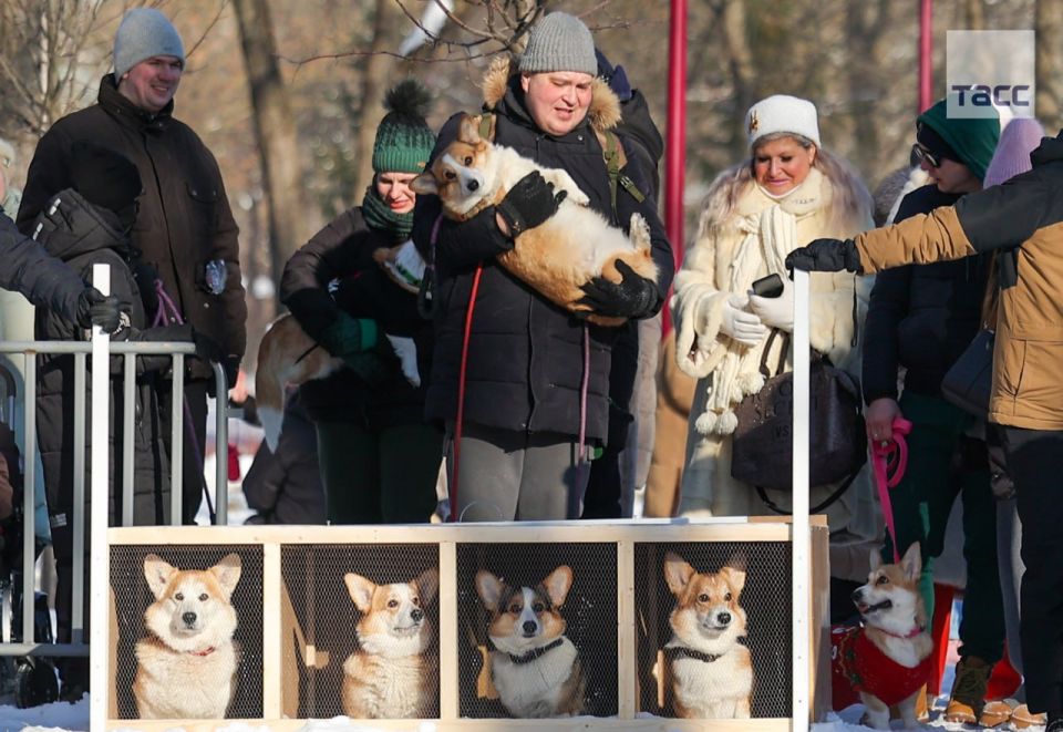 #�������_����. ������ �� ����� ���������� ������ ������-trail� � ���������