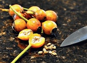 ��� ��������� ���� �� �����: ������ � ������� �������� ���������