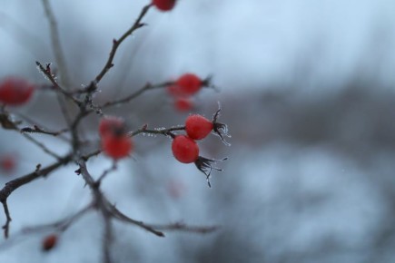 � ������ �����, ���������!