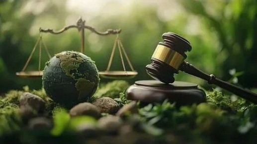 ������������� ��������� 2026 ����: ��� ����� ������ �������� �������� ������� � ��������� ��������������� �� ������