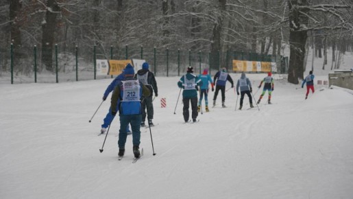 В Старом Осколе продолжается спартакиада пенсионеров и ветеранов округа