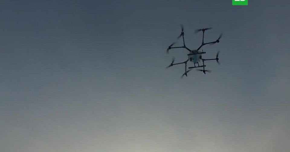 ��� ��������� ������ ����� ����� 12�������