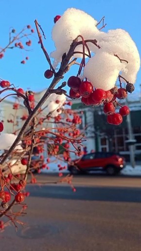 Доброе утро, старооскольцы!