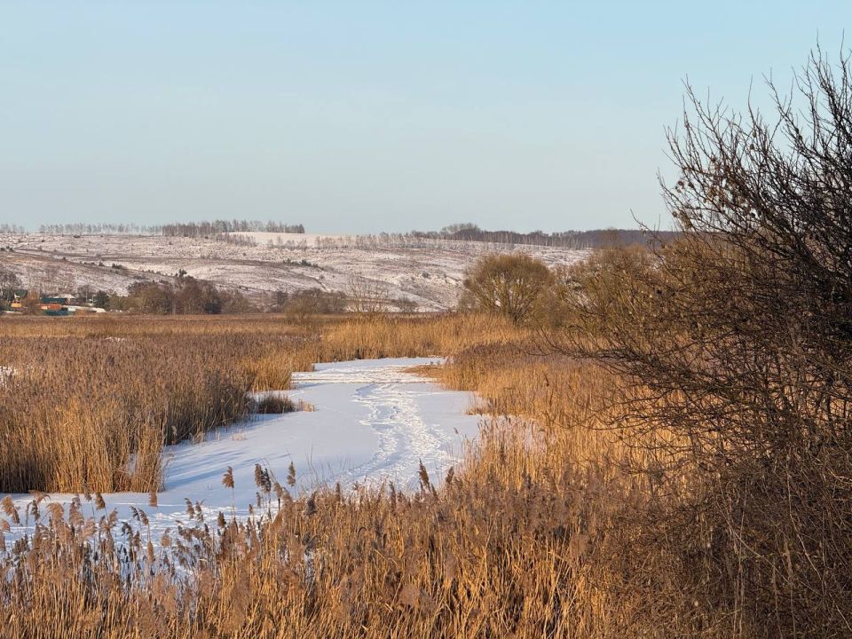 Пятница на «БелПрессе»!. Любое время года прекрасно