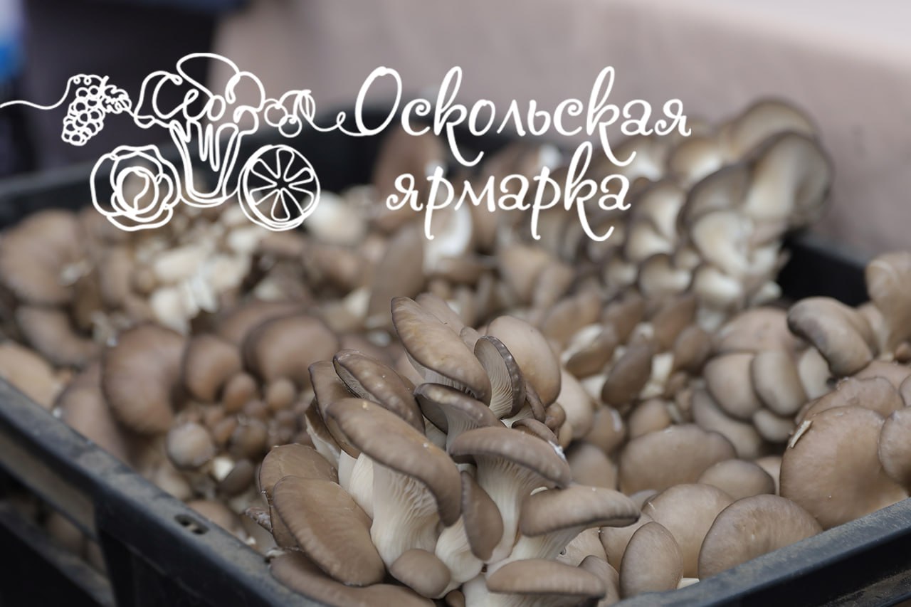 Фермерская ярмарка в Старом Осколе!