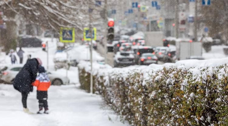 В Белгородской области увеличили размер регионального маткапитала, сообщил губернатор