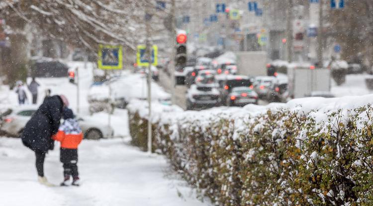 В Белгородской области увеличили размер регионального маткапитала, сообщил губернатор