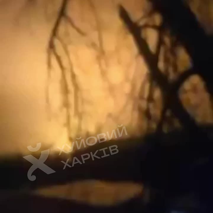 ������ ����� ������� �� ��������