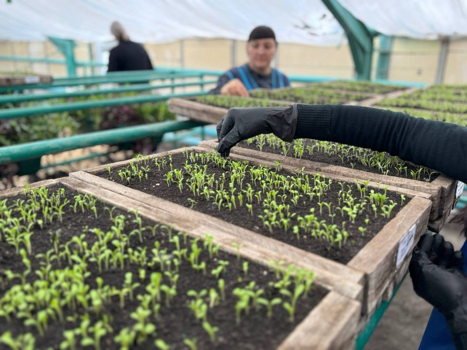 ������ �������: ���������� ��������������� ��������������� ������� ��������� � ����� � �������� ���������� ������