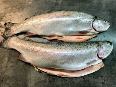 ��������� �������� ����: ������� �������� � �������������