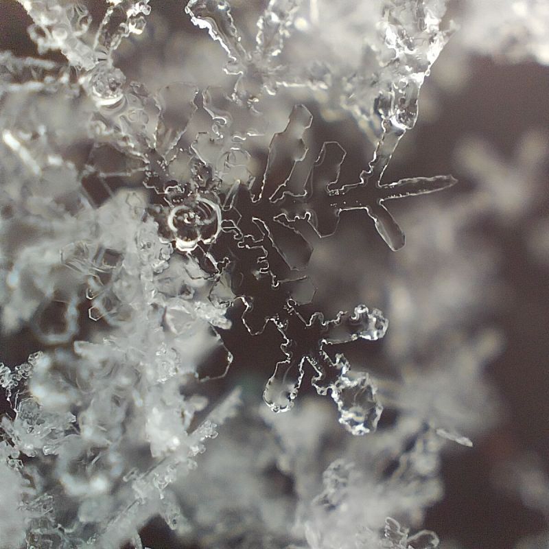 Сегодня, 24 января, нас ждёт облачная с прояснениями погода