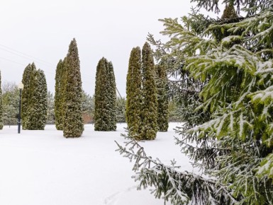 ����� ��� ���� ����� ����� �� ������� � ����������, ��� ��� ������ ������!