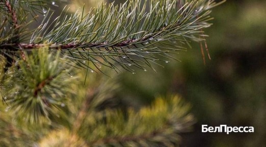 ������ ���� ������� ����� ������������ ������ ������� ��������� ������� ������������ ��������� ����������� ���������