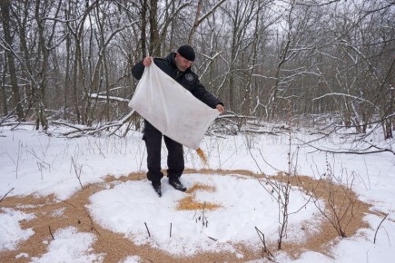 � ���������� ������� ������������ ������� �������� �������������� �����������