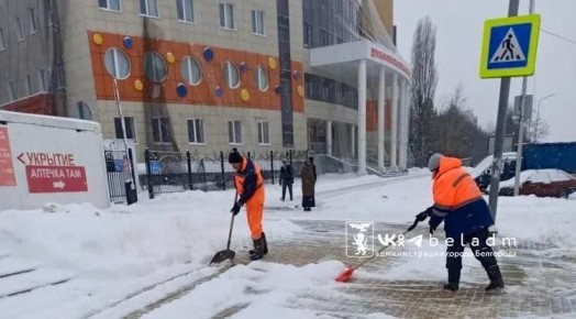 Почти 500 человек вышли на уборку снега в Белгороде