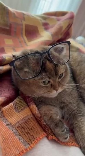 ��� �������� ���������: �������� ������� � ���� �������� ����� ������ ��������� �������� �����.�