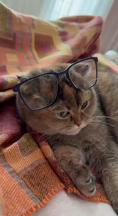 Как поживает Запеканка: Вячеслав Гладков в день рождения своей дочери поделился домашним видео.