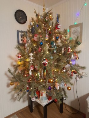 Как выбрать новогоднюю елку