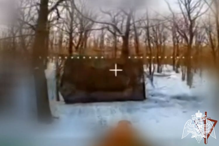 ������� ���������� ��������� ��� �Krab� �� ����������� �����������