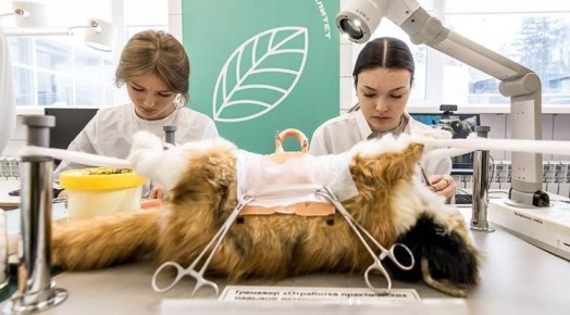 Работу колледжей и техникумов в Белгородской области переформатируют под запросы экономики