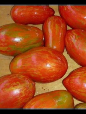 ����� ������: ��������� ����� ��� ������ �������