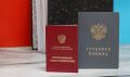 Досрочная пенсия для многодетных матерей, врачей и педагогов: как оставить работу на 5-10 лет раньше