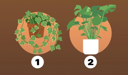 Как вы относитесь к своим ошибкам: узнайте через этот быстрый тест на личность