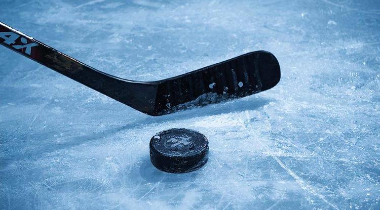 МХК «Белгород» дважды проиграла пензенскому «Дизелисту»