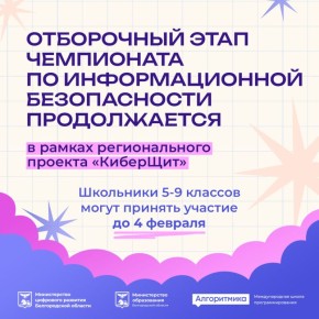 В Белгородской области продолжается отборочный этап чемпионата по информационной безопасности в рамках проекта «КиберЩит»