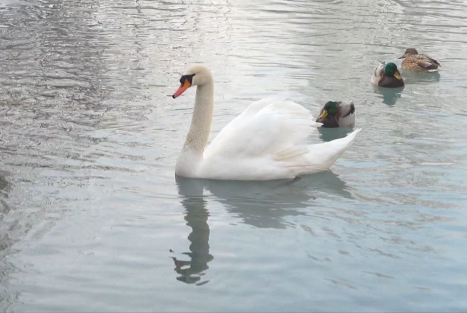 �������, 27 ������, ����� ������� � ������������