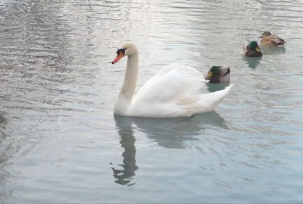 �������, 27 ������, ����� ������� � ������������