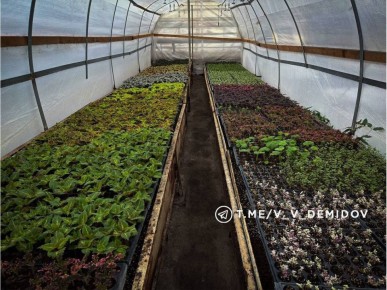 ������� ����� ��� � �����. ��� ����� ������� �� ������� � ���������! � �������� ���������������������� ���������� 700 ���