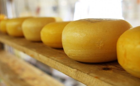 Здоровые соседи сыра: как умеренное сырное питание поддерживает ясность у пожилых