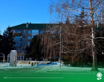 28 января. Температура воздуха -7°C, облачно, без осадков