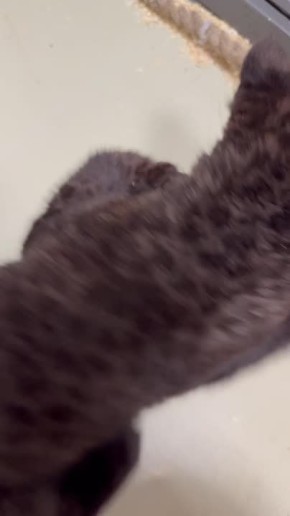 � ������� ������ ����� ���������: ��� ������ �������� � ����� ������ �����