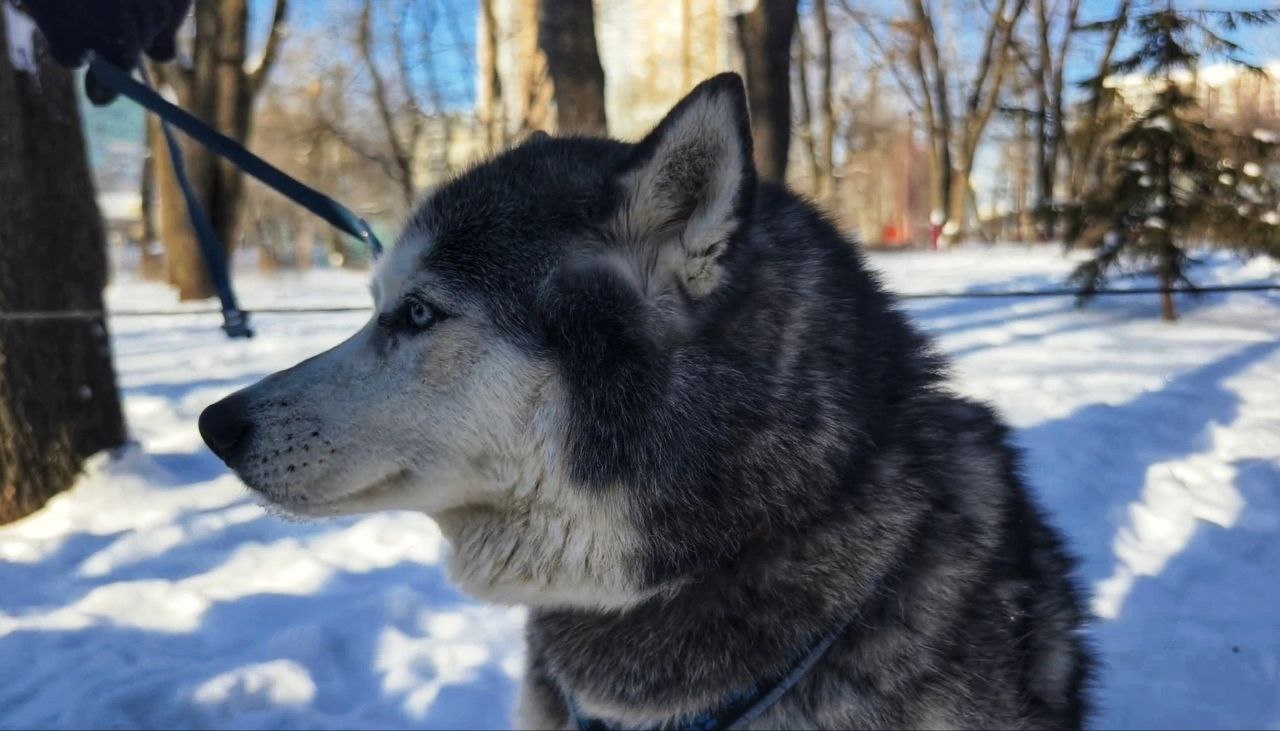 Мокро и скользко: сегодня, 28 января, облачно и осадки в виде мокрого снега и дождя