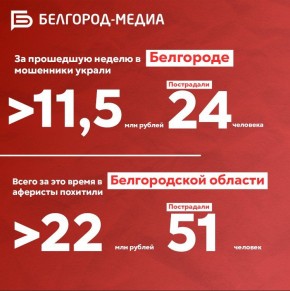 За неделю в Белгородской области от действий мошенников пострадал 51 человек